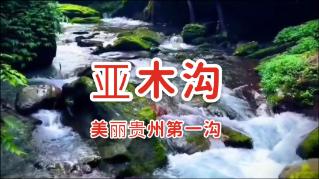 热血NBA万圣节篇