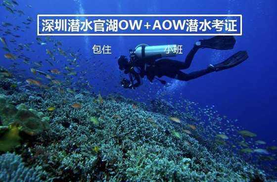 新春走基层 | 探访春运首日：车流量稳中有升，本周末或将面临大幅增长考验